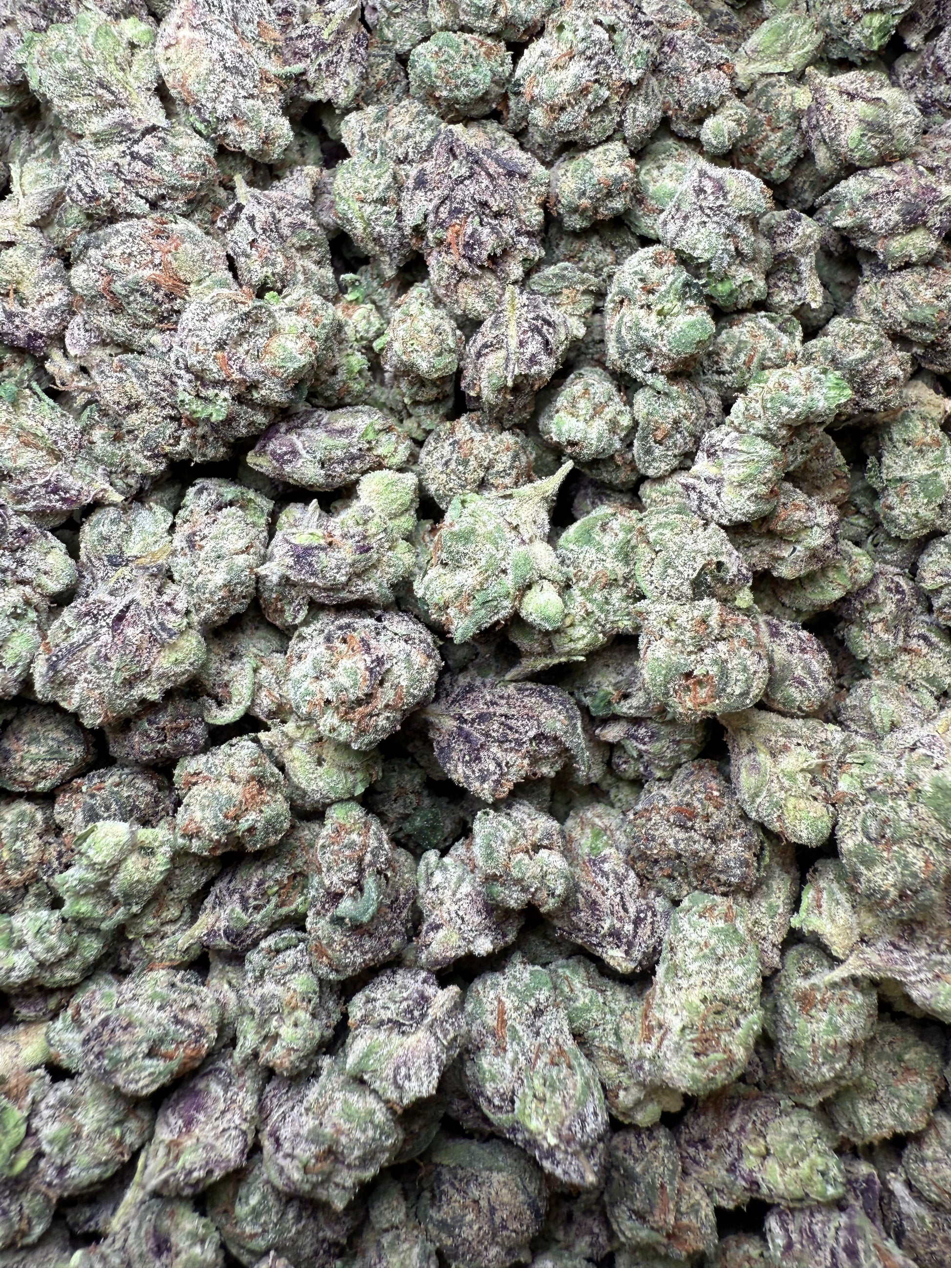 1 Pound - Runtz Small FL Fulfillment Center