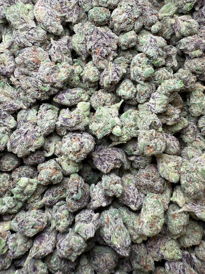 1 Pound - Runtz Small FL Fulfillment Center