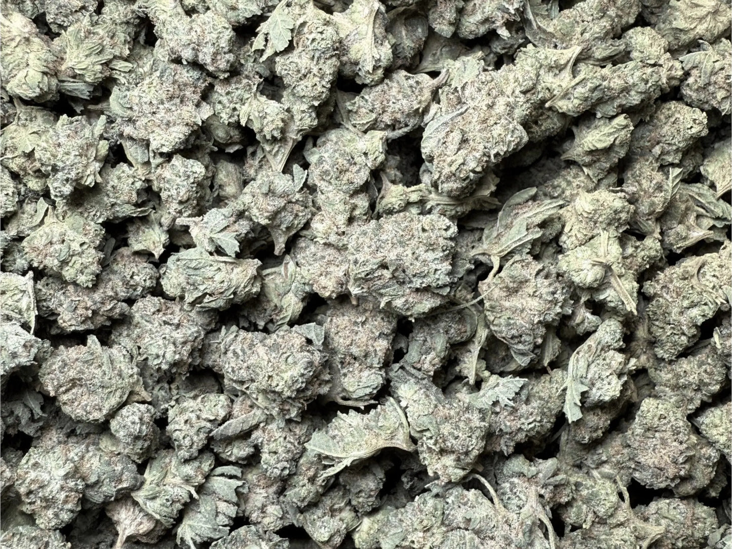 1 Pound - Sherbet THCA Strain (Smalls) Frisco Labs