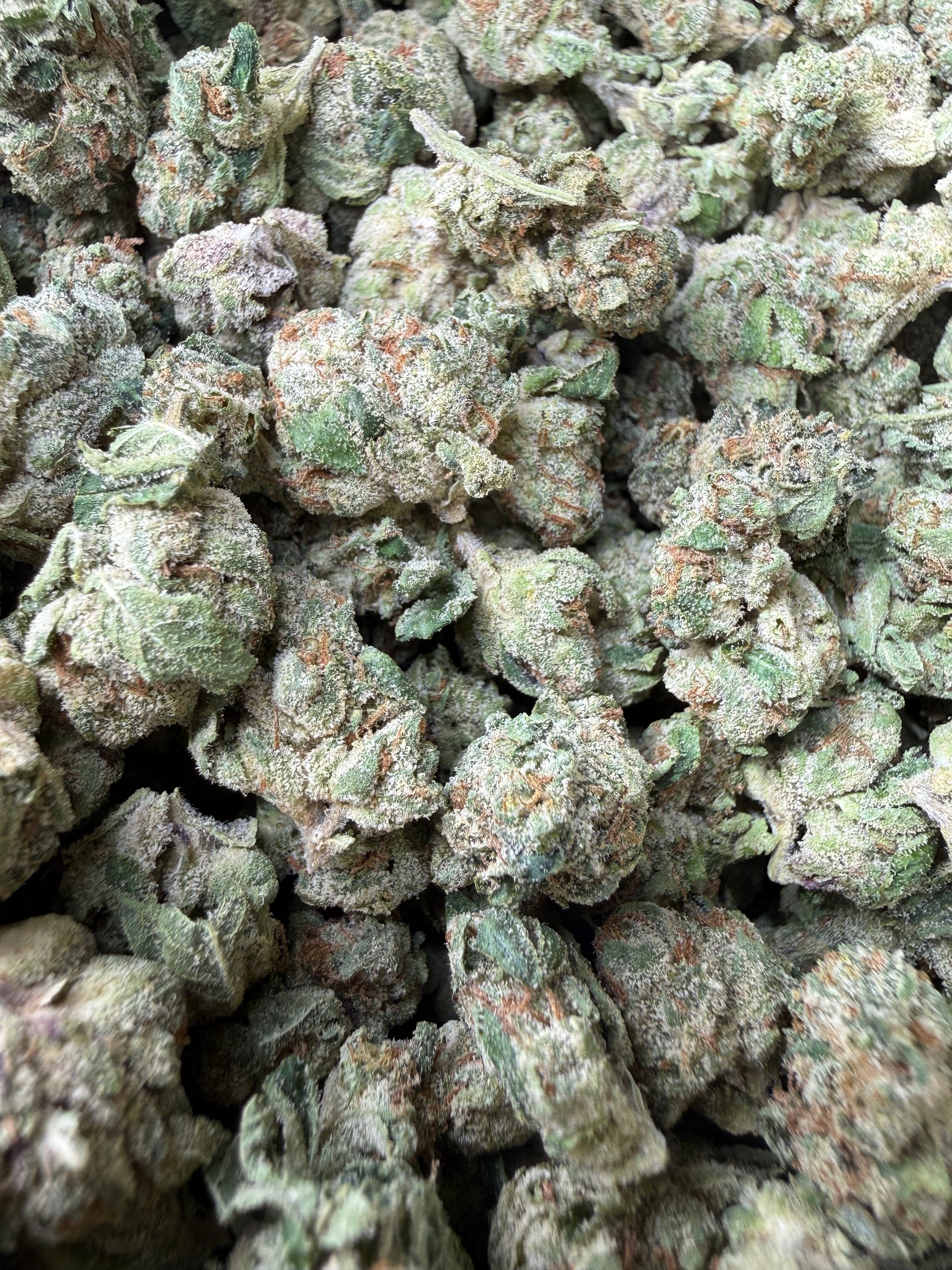 1 Pound - Sherblato THCA Strain (Smalls) Frisco Labs