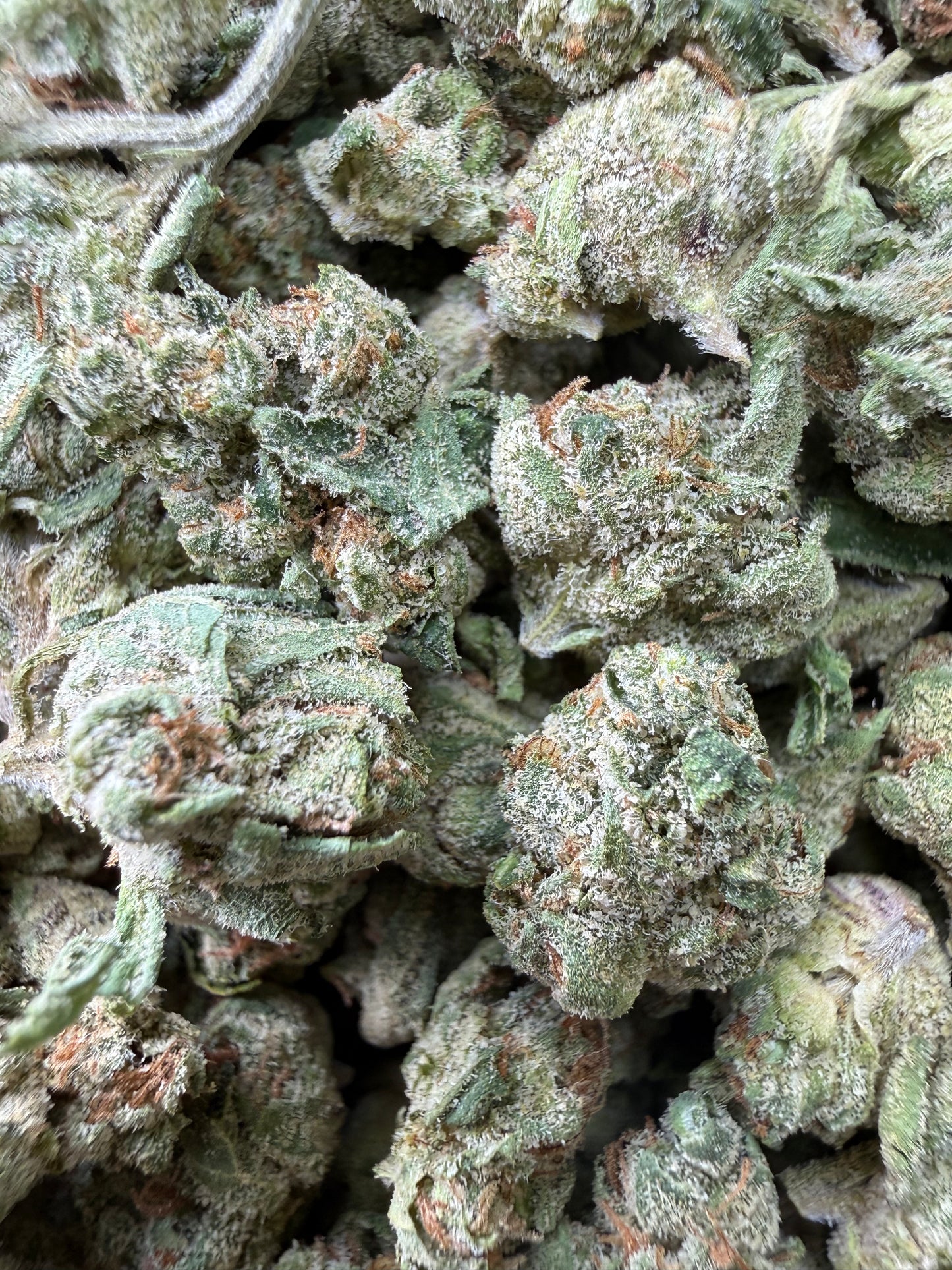 1 Pound - Sherblato THCA Strain (Smalls) Frisco Labs