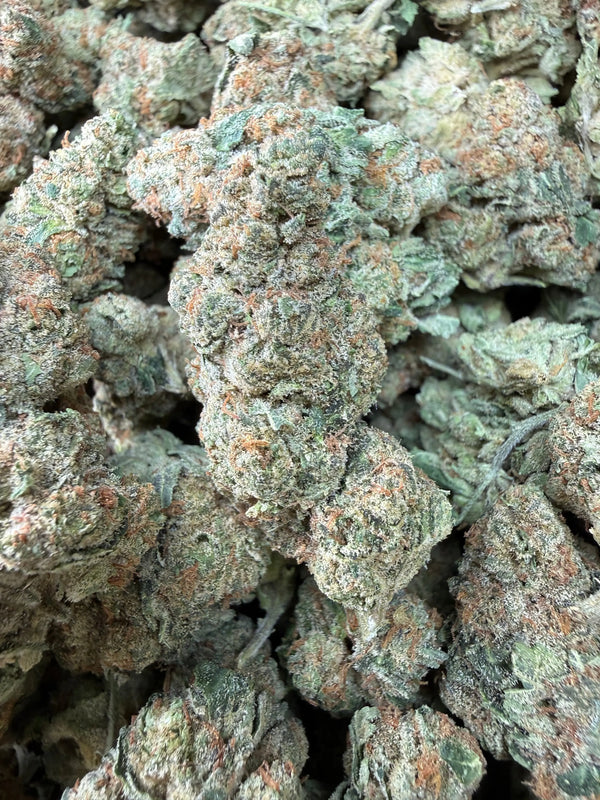 1 Pound - Slurricane THCA Strain