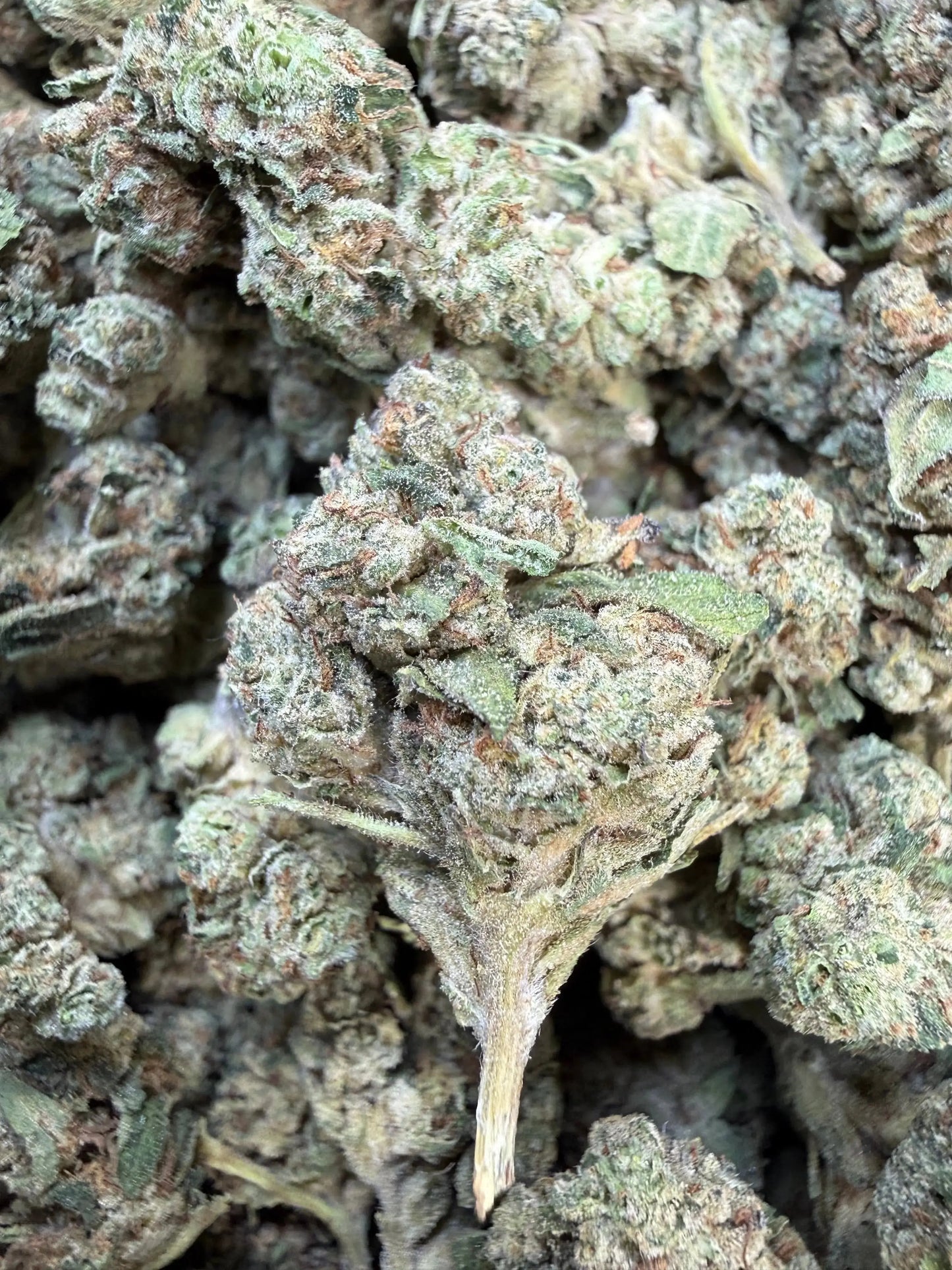 1 Pound - Slurricane THCA Strain Frisco Labs
