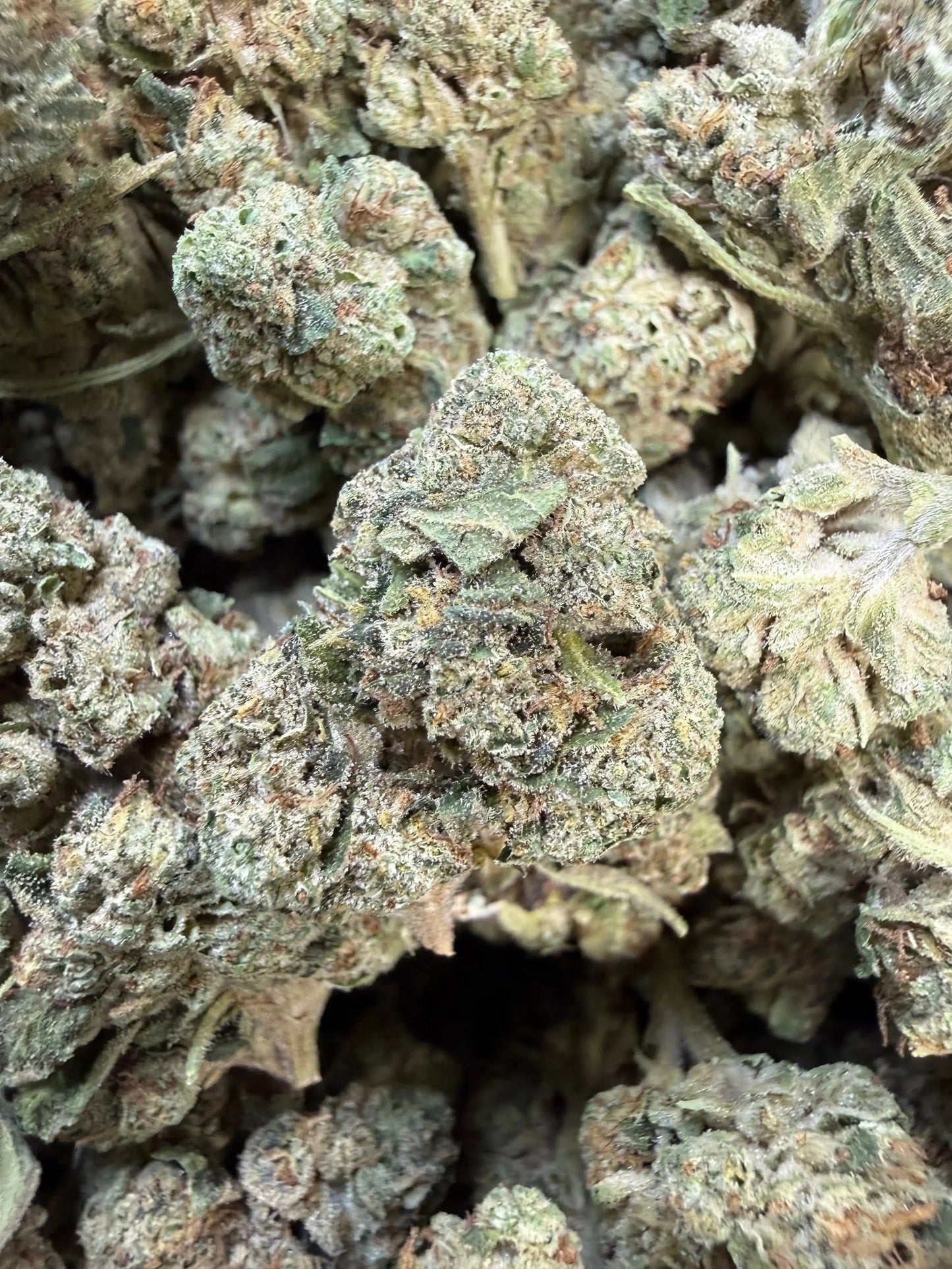 1 Pound - Slurricane THCA Strain Frisco Labs