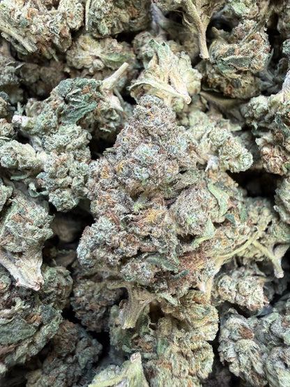 1 Pound - Slurricane THCA Strain Frisco Labs