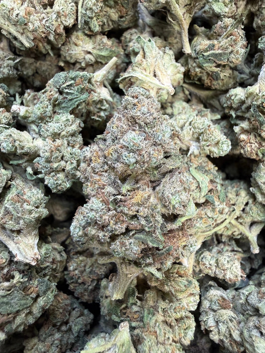 1 Pound - Slurricane THCA Strain Frisco Labs