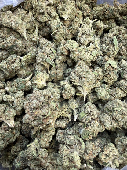 1 Pound - Slurricane THCA Strain Frisco Labs