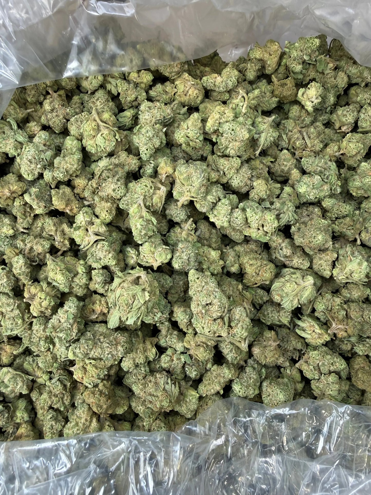 1 Pound - Smackerz THCA Strain (Smalls) Frisco Labs