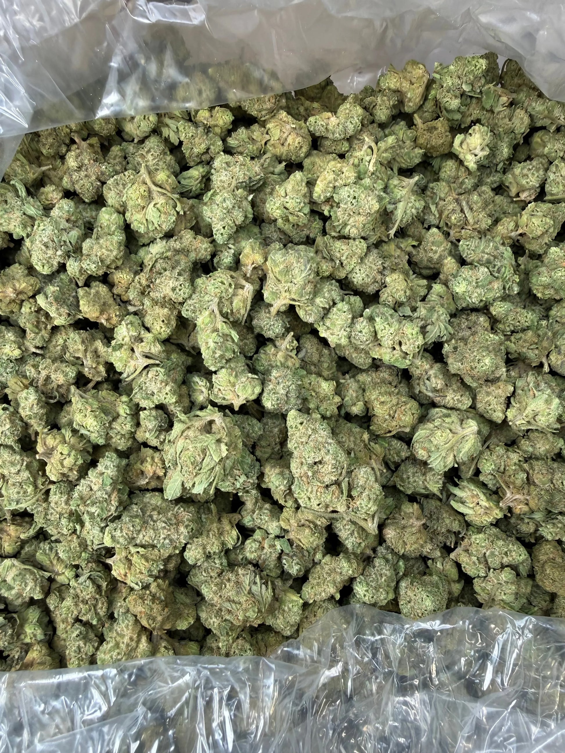 1 Pound - Smackerz THCA Strain (Smalls) Frisco Labs