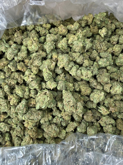 1 Pound - Smackerz THCA Strain (Smalls) Frisco Labs