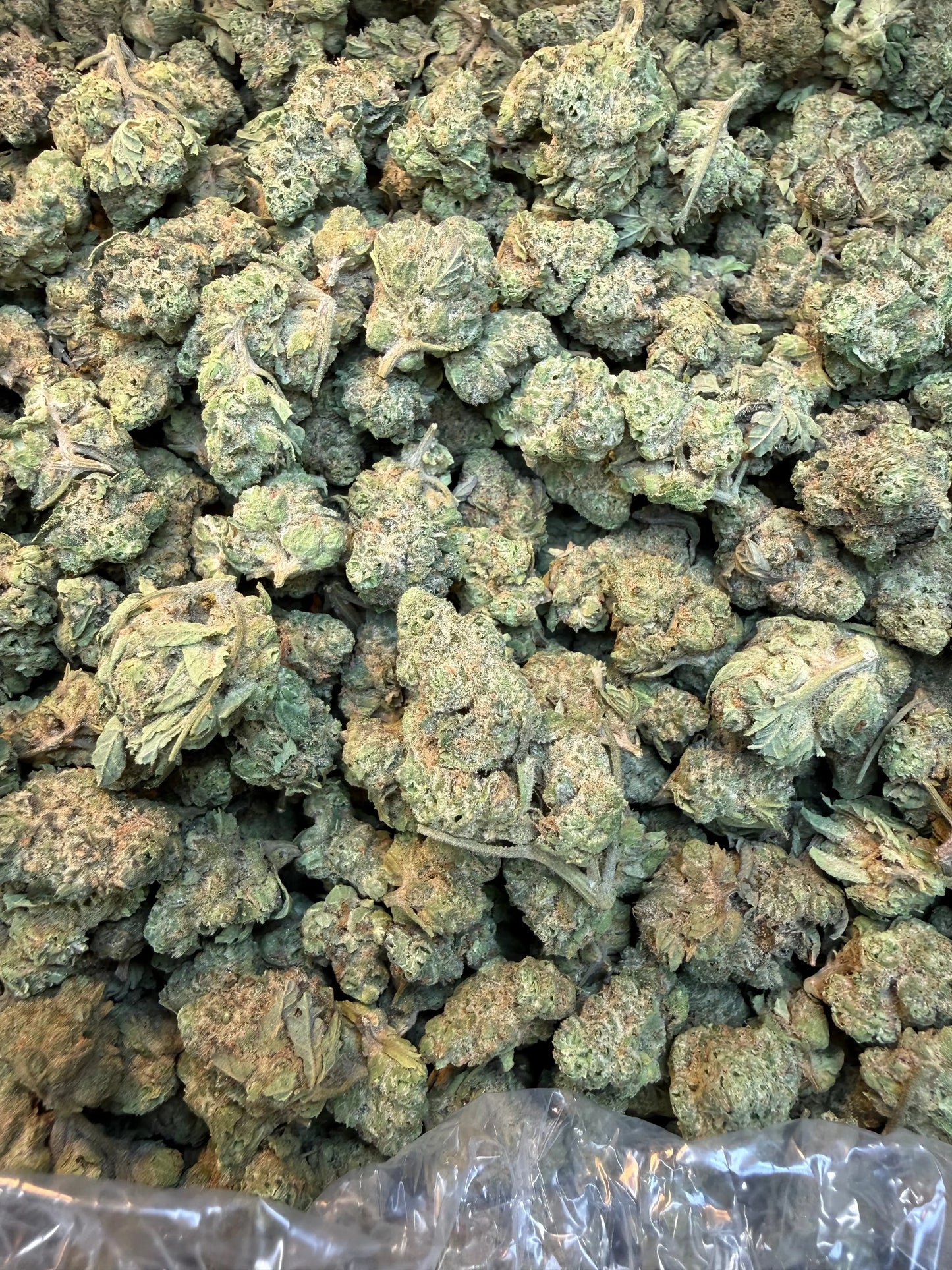 1 Pound - Smackerz THCA Strain (Smalls) Frisco Labs