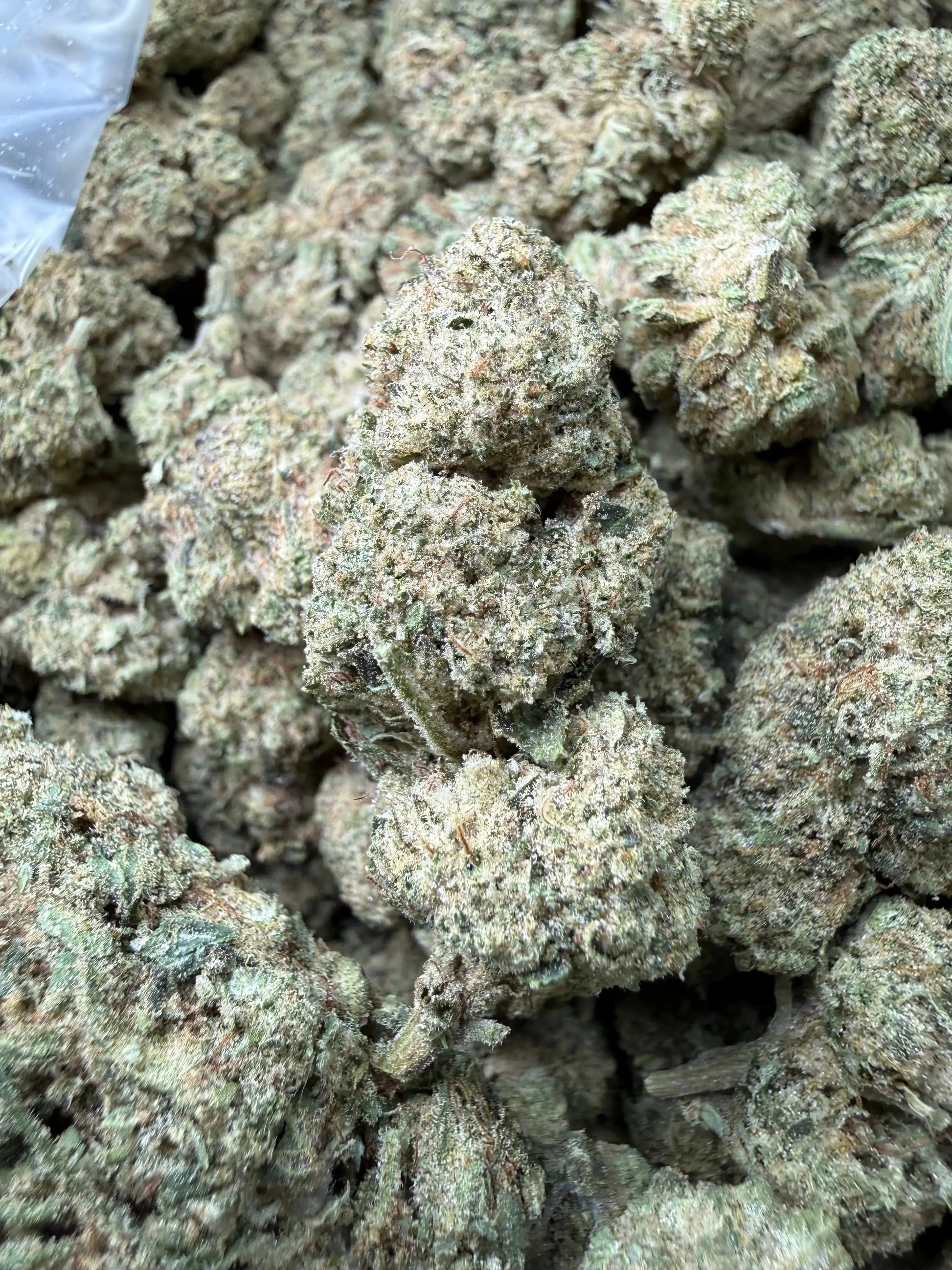 1 Pound - Space Rocks THCA Strain Frisco Labs