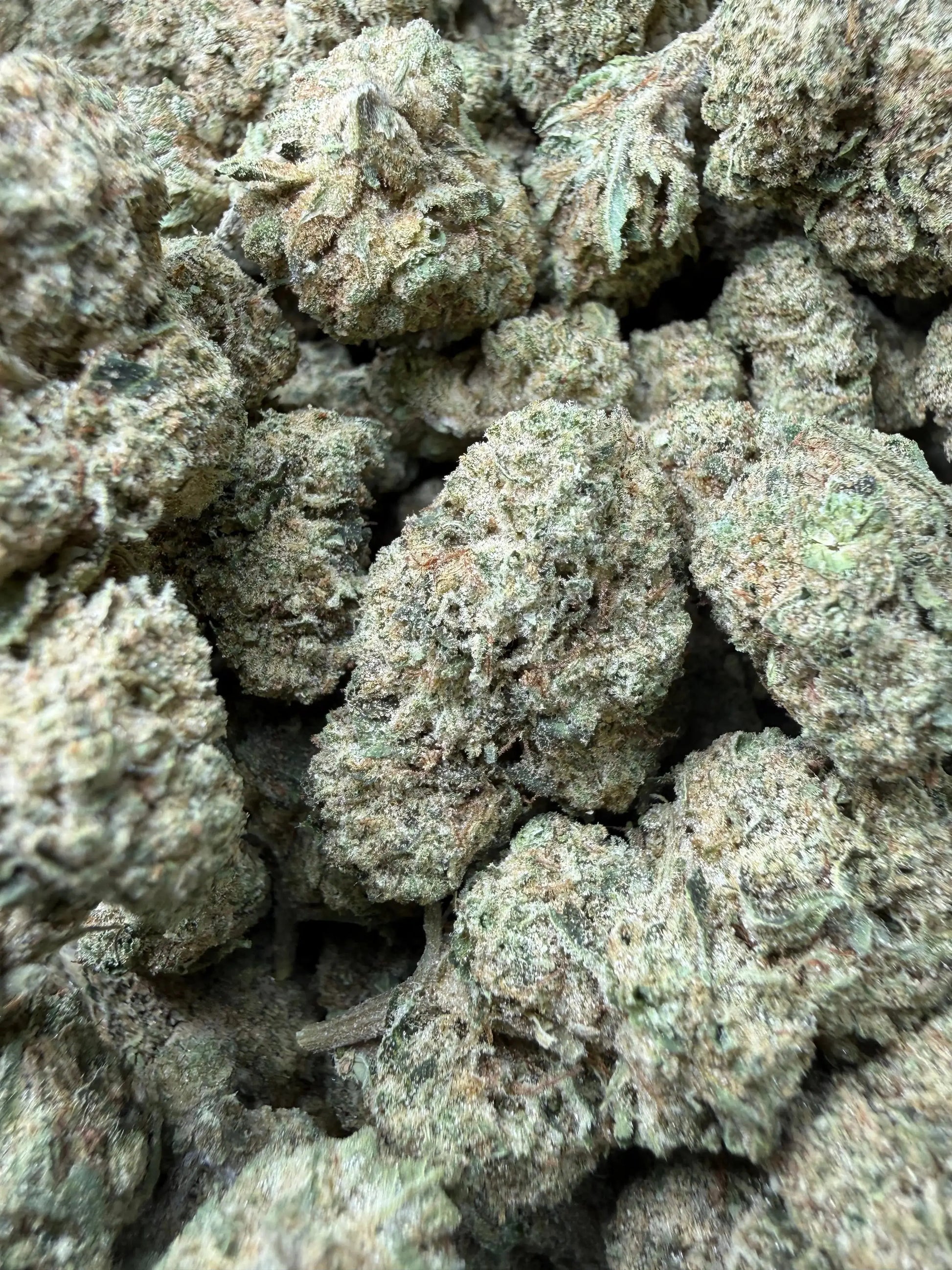 1 Pound - Space Rocks THCA Strain Frisco Labs