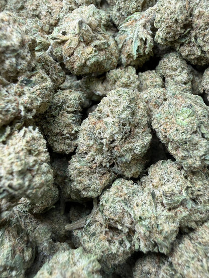 1 Pound - Space Rocks THCA Strain Frisco Labs