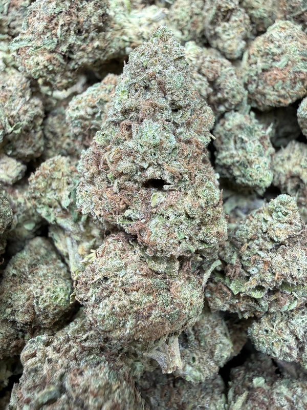 1 Pound - Sugar Bread THCA Strain