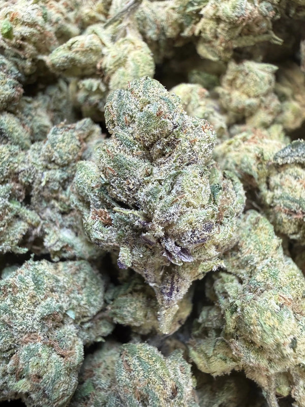 1 Pound - Sugar Syndicate THCA Strain