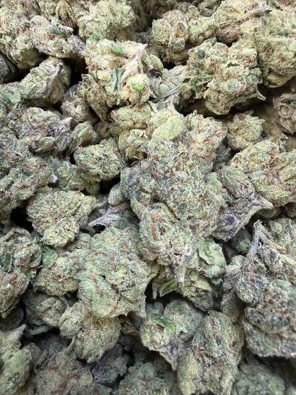 1 Pound - Sugar Syndicate THCA Strain Frisco Labs