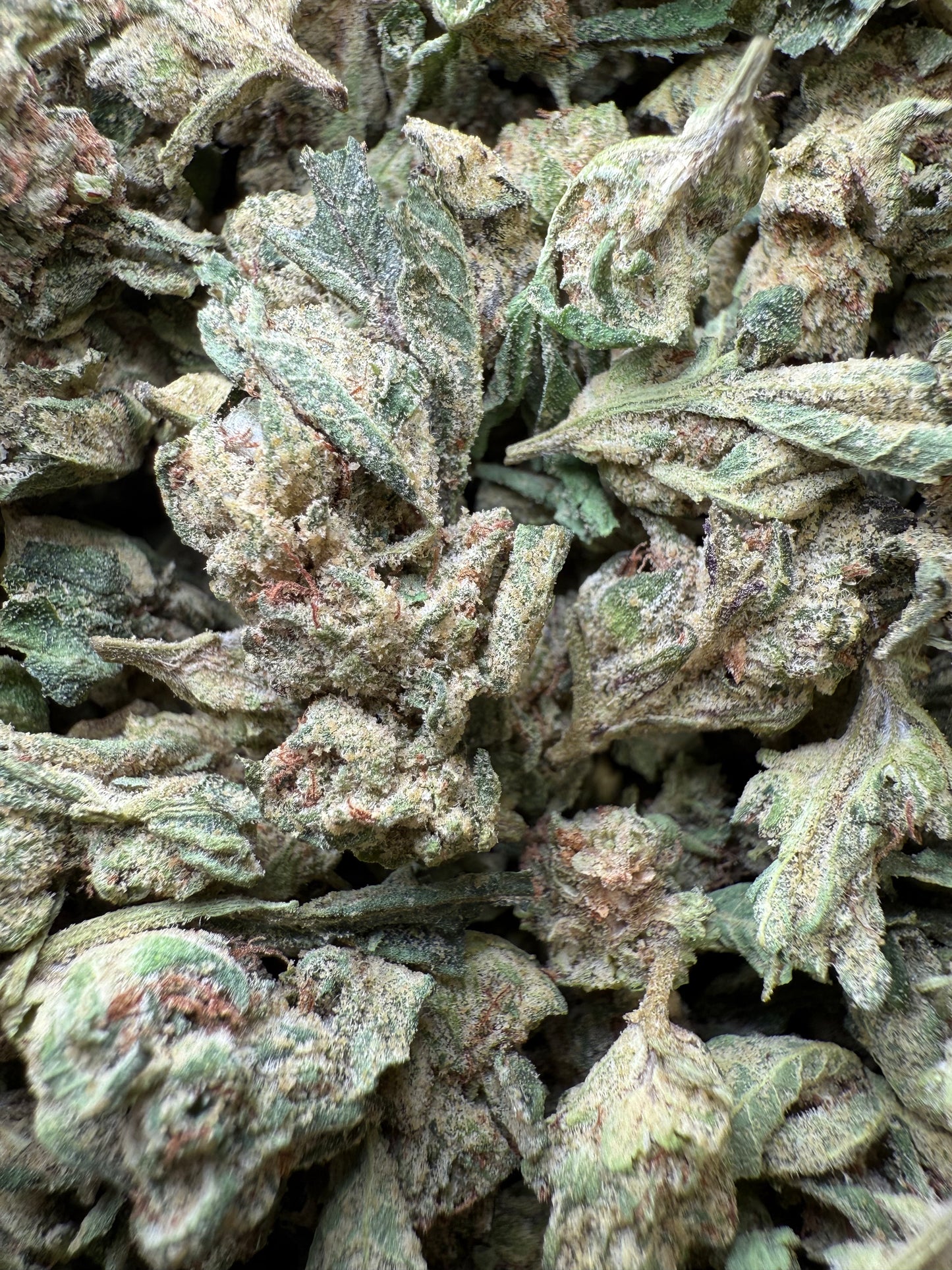 1 Pound - Purple Sunset BX2 THCA Strain (Smalls) Frisco Labs