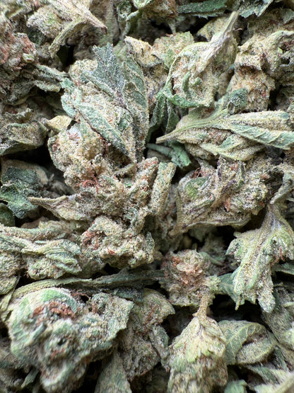 1 Pound - Purple Sunset BX2 THCA Strain (Smalls) Frisco Labs