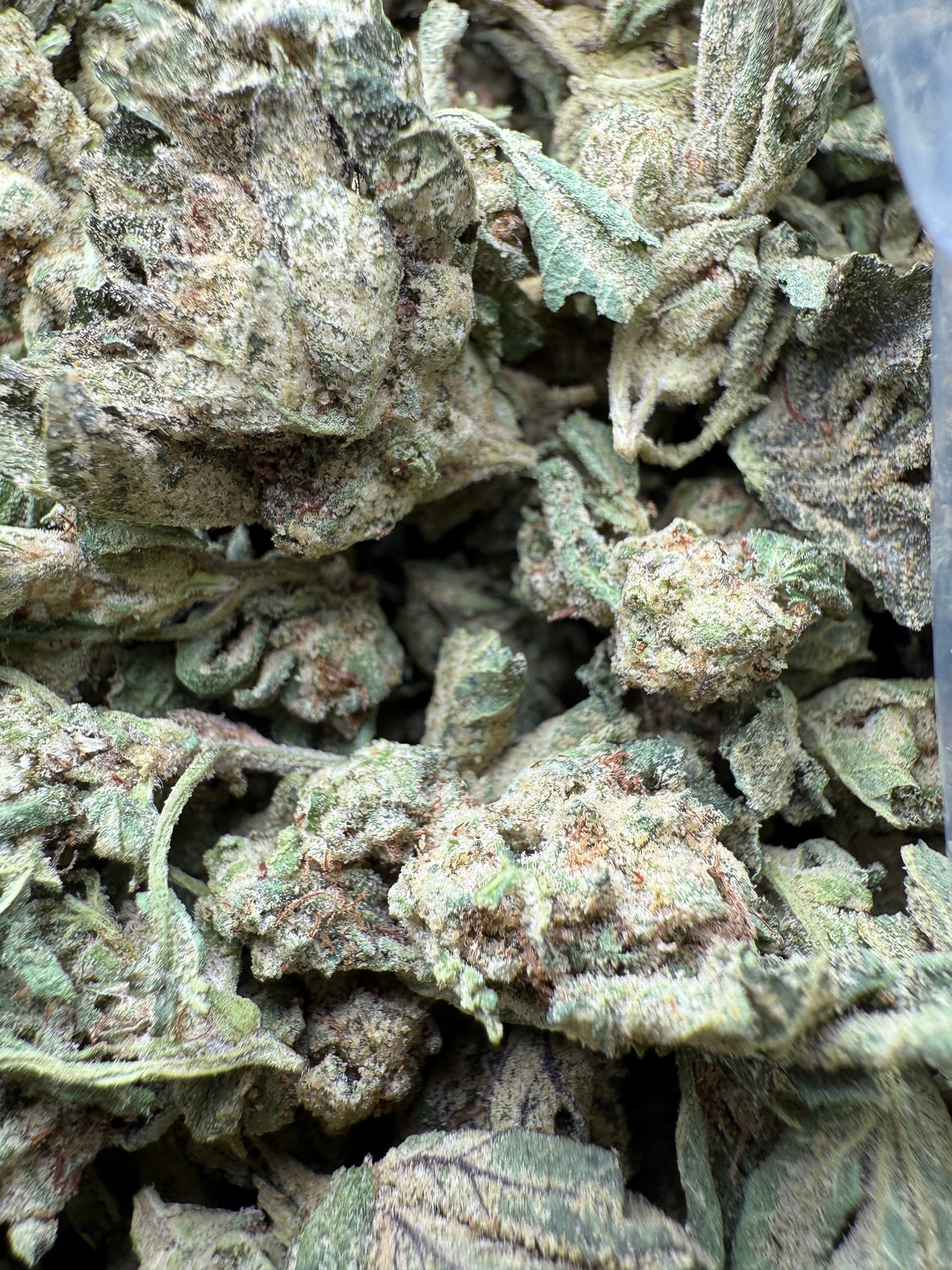 1 Pound - Purple Sunset BX2 THCA Strain (Smalls) Frisco Labs