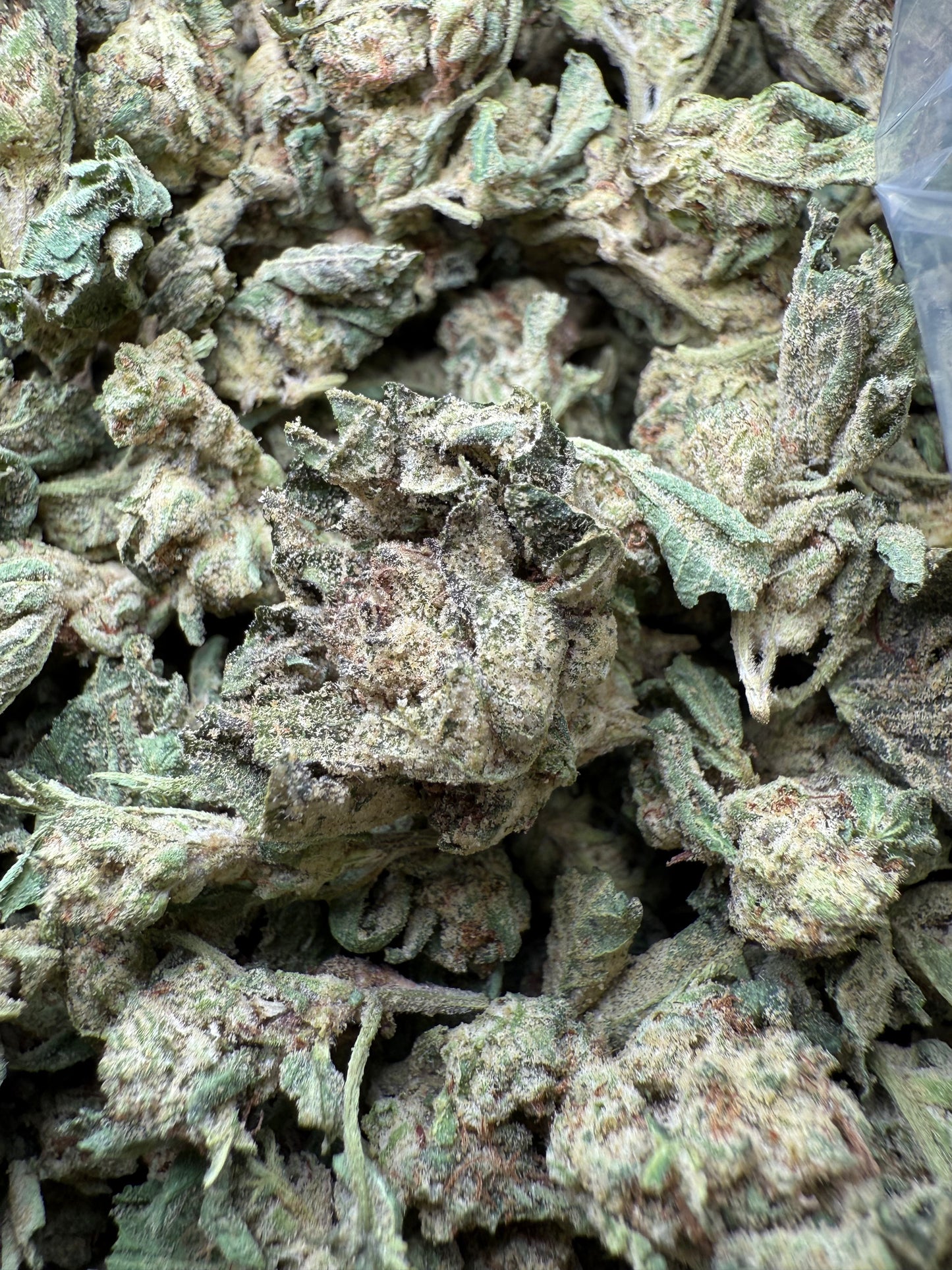 1 Pound - Purple Sunset BX2 THCA Strain (Smalls) Frisco Labs