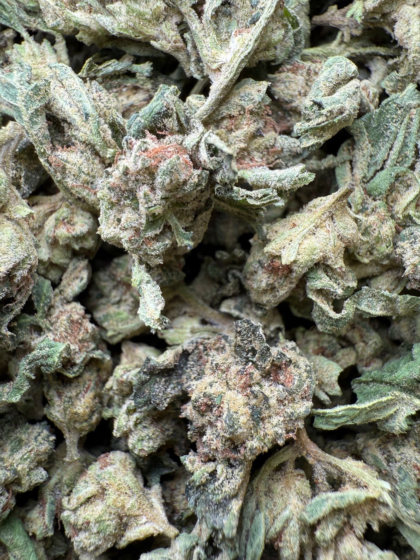 1 Pound - Purple Sunset BX2 THCA Strain (Smalls) Frisco Labs