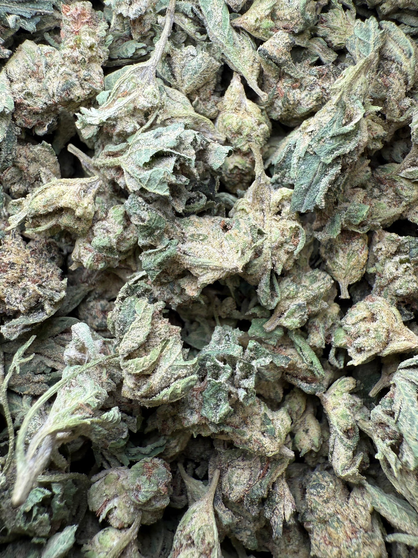 1 Pound - Purple Sunset BX2 THCA Strain (Smalls) Frisco Labs