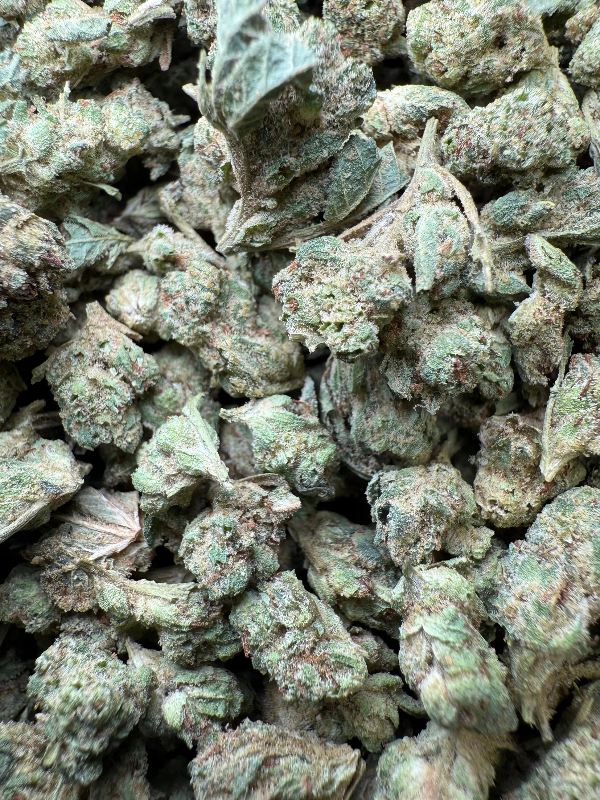 1 Pound - Super Glue THCA Strain (Small) Frisco Labs