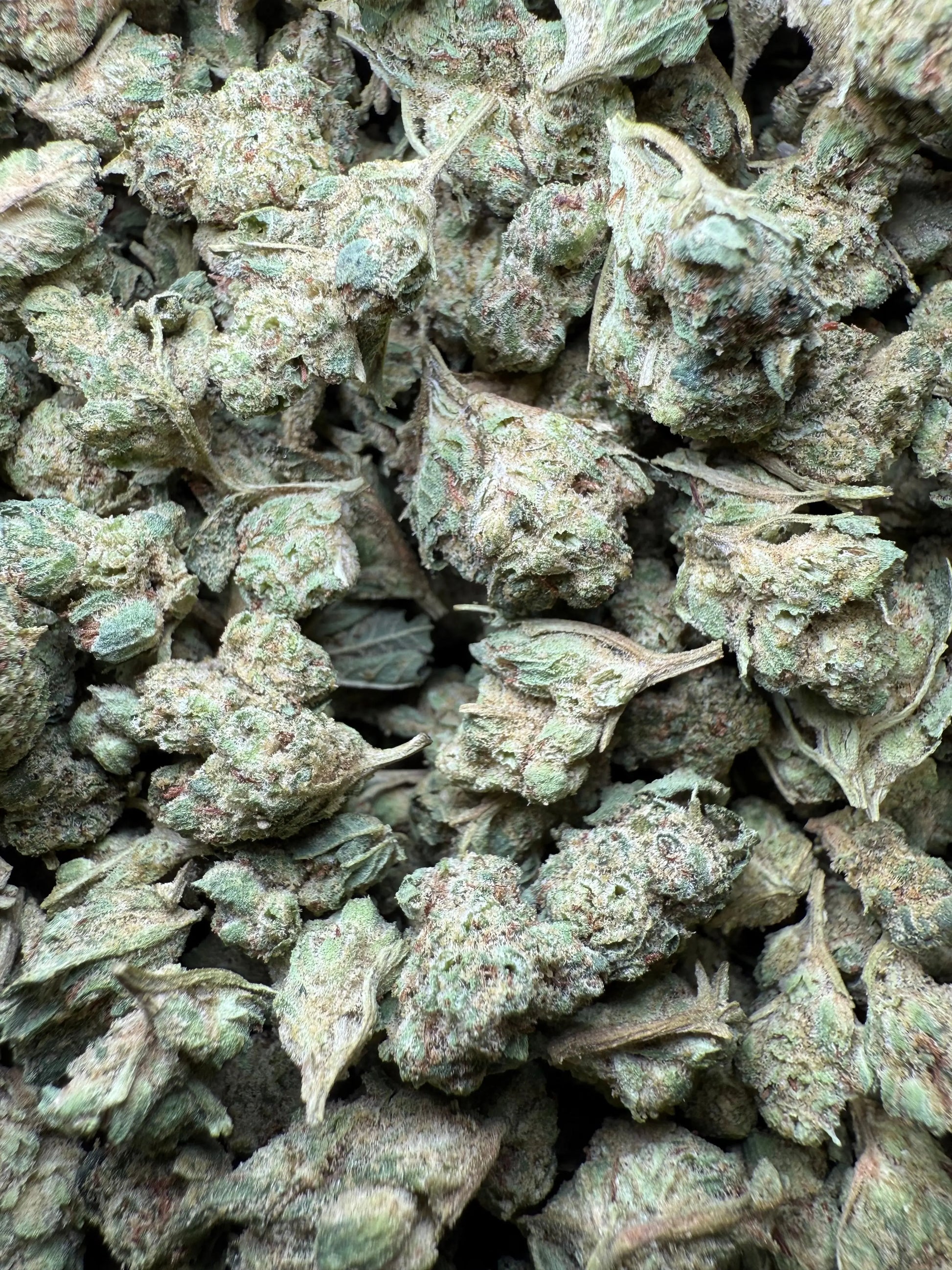 1 Pound - Super Glue THCA Strain (Small) Frisco Labs