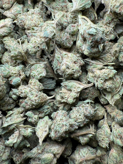 1 Pound - Super Glue THCA Strain (Small) Frisco Labs