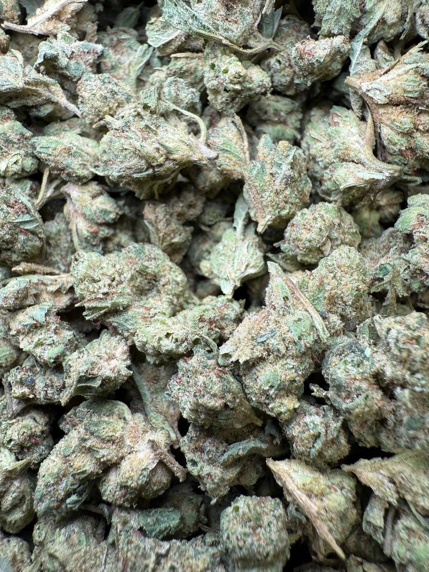 1 Pound - Super Glue THCA Strain (Small) Frisco Labs