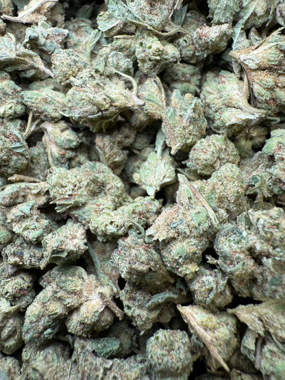 1 Pound - Super Glue THCA Strain (Small) Frisco Labs