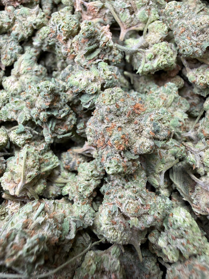 1 Pound - Super Sonic THCA Strain (Small) Frisco Labs