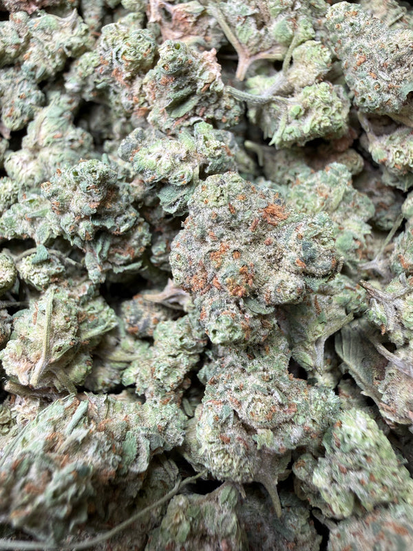 1 Pound - Super Sonic THCA Strain (Small/ Micro)