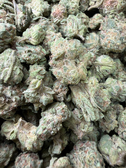 1 Pound - Super Sonic THCA Strain (Small) Frisco Labs