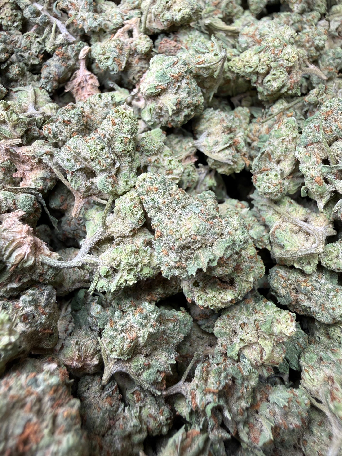 1 Pound - Super Sonic THCA Strain (Small) Frisco Labs