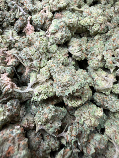 1 Pound - Super Sonic THCA Strain (Small) Frisco Labs