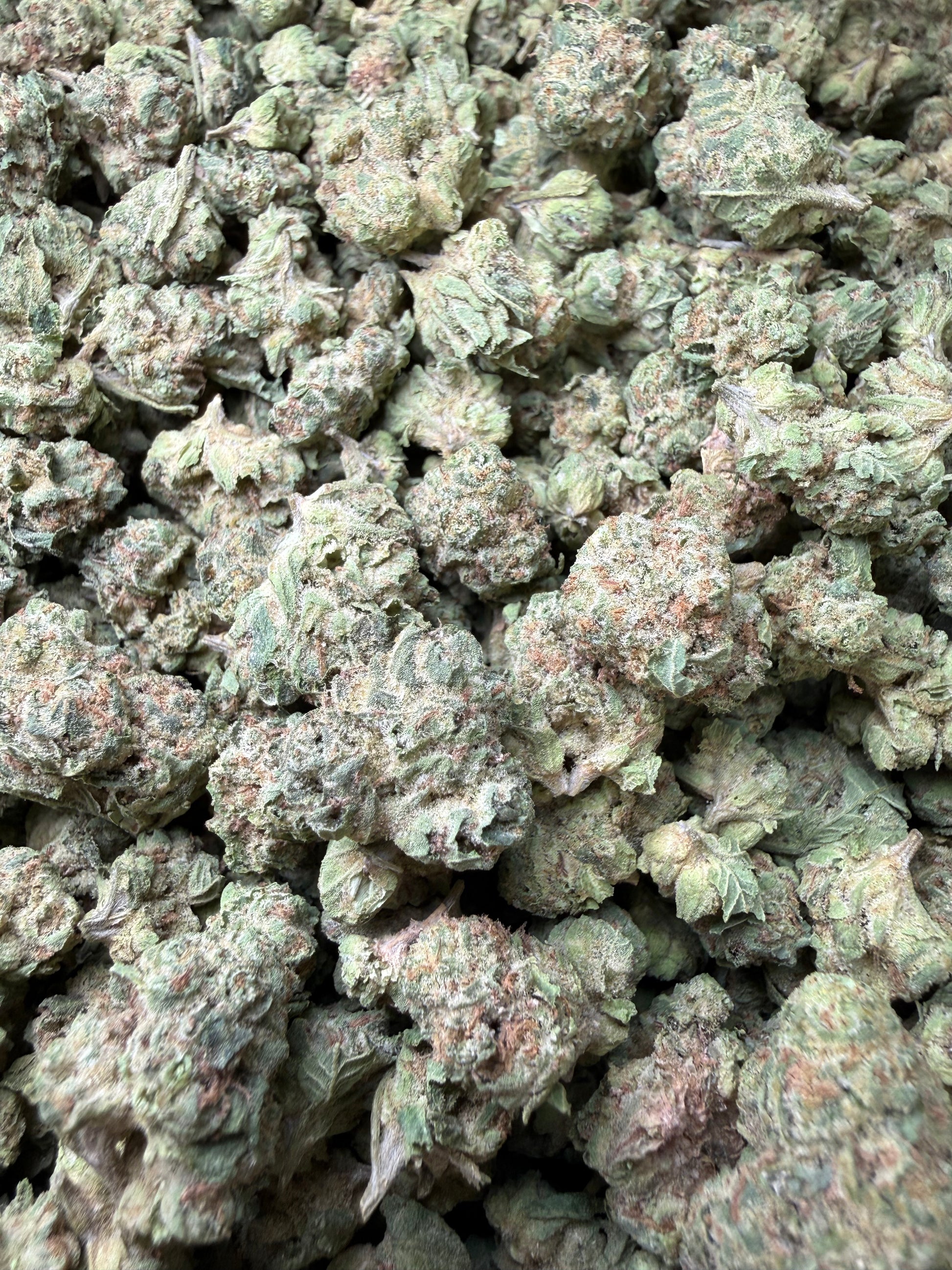 1 Pound - Super Sonic THCA Strain (Small) Frisco Labs