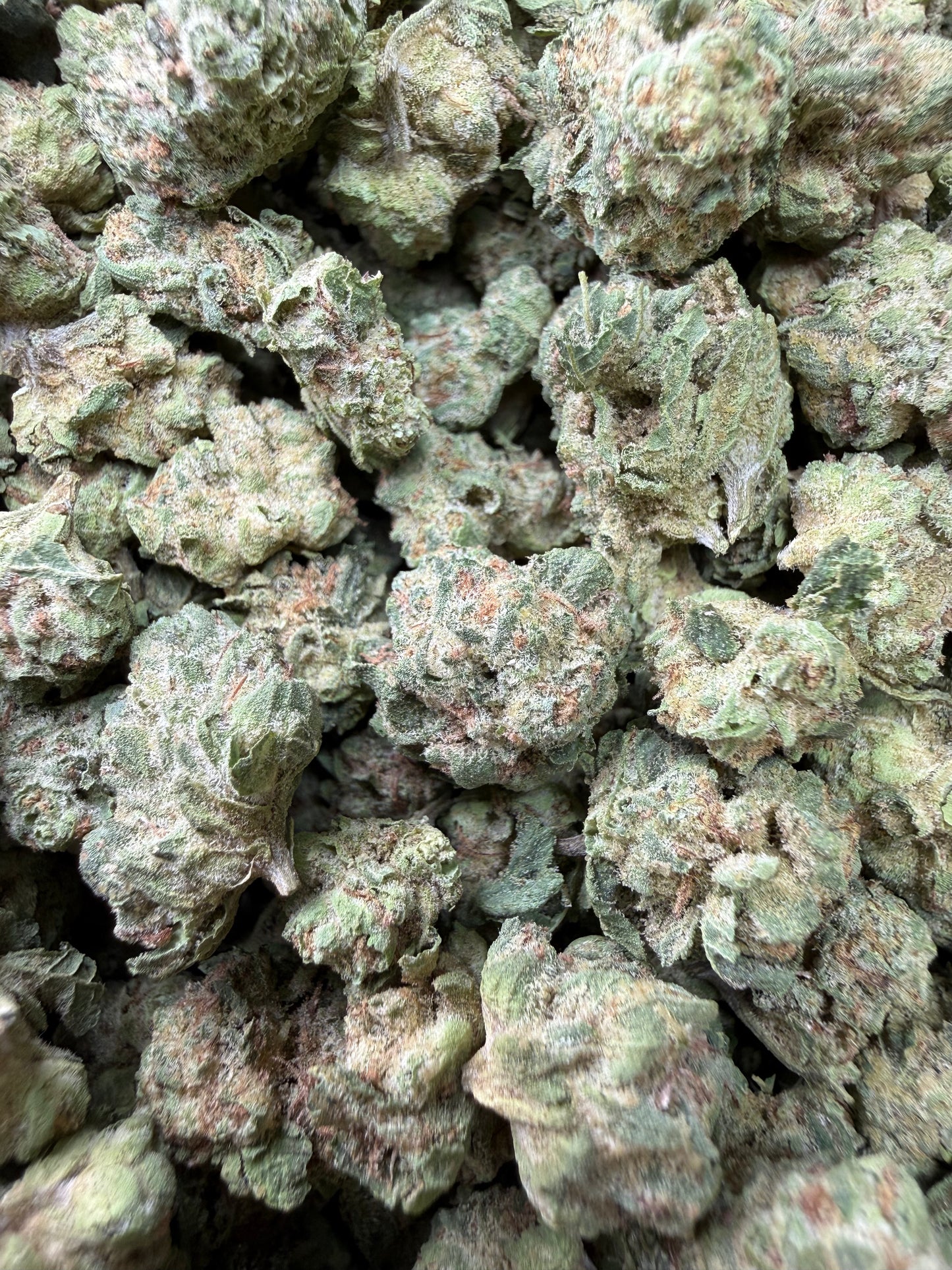 1 Pound - Super Sonic THCA Strain (Small) Frisco Labs