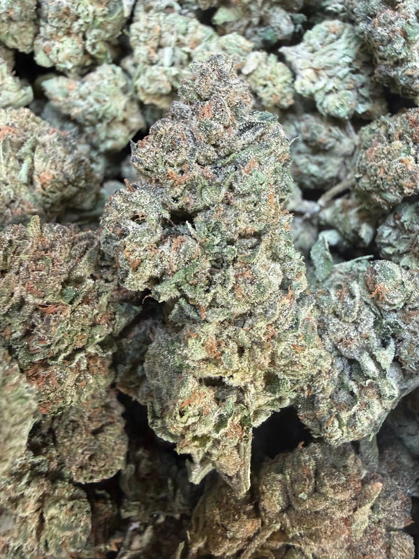 1 Pound - Trap Jelly Reserve THCA Strain