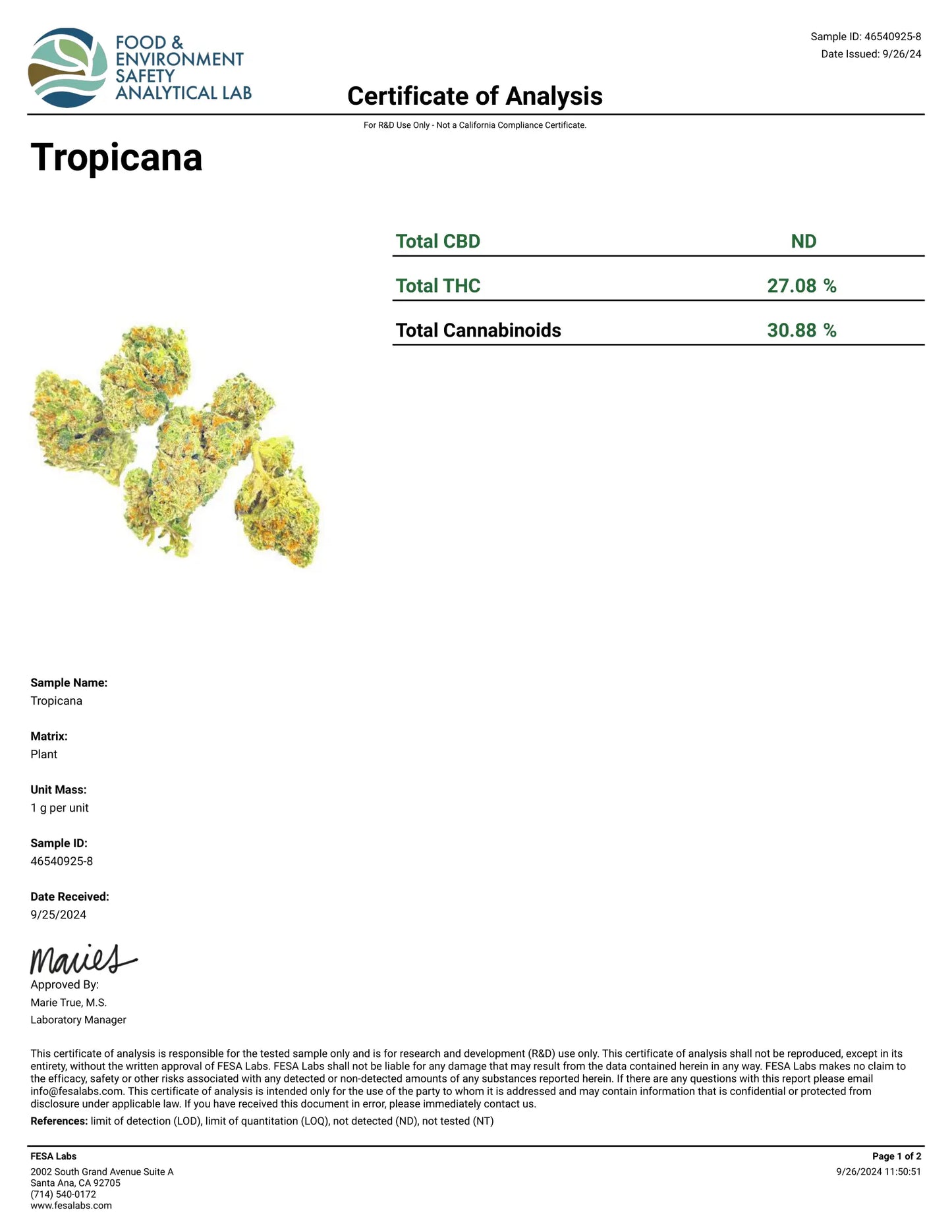 1 Pound - Tropical Sherbet THCA Smalls FL Fulfillment Center