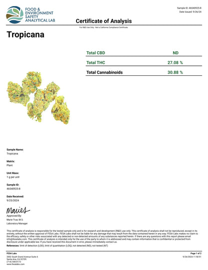 1 Pound - Tropical Sherbet THCA Smalls FL Fulfillment Center