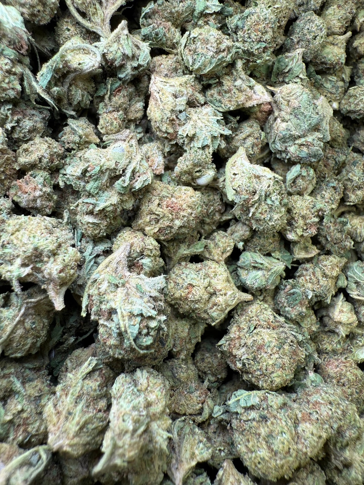 1 Pound - Venom OG THCA Strain (Smalls) Frisco Labs