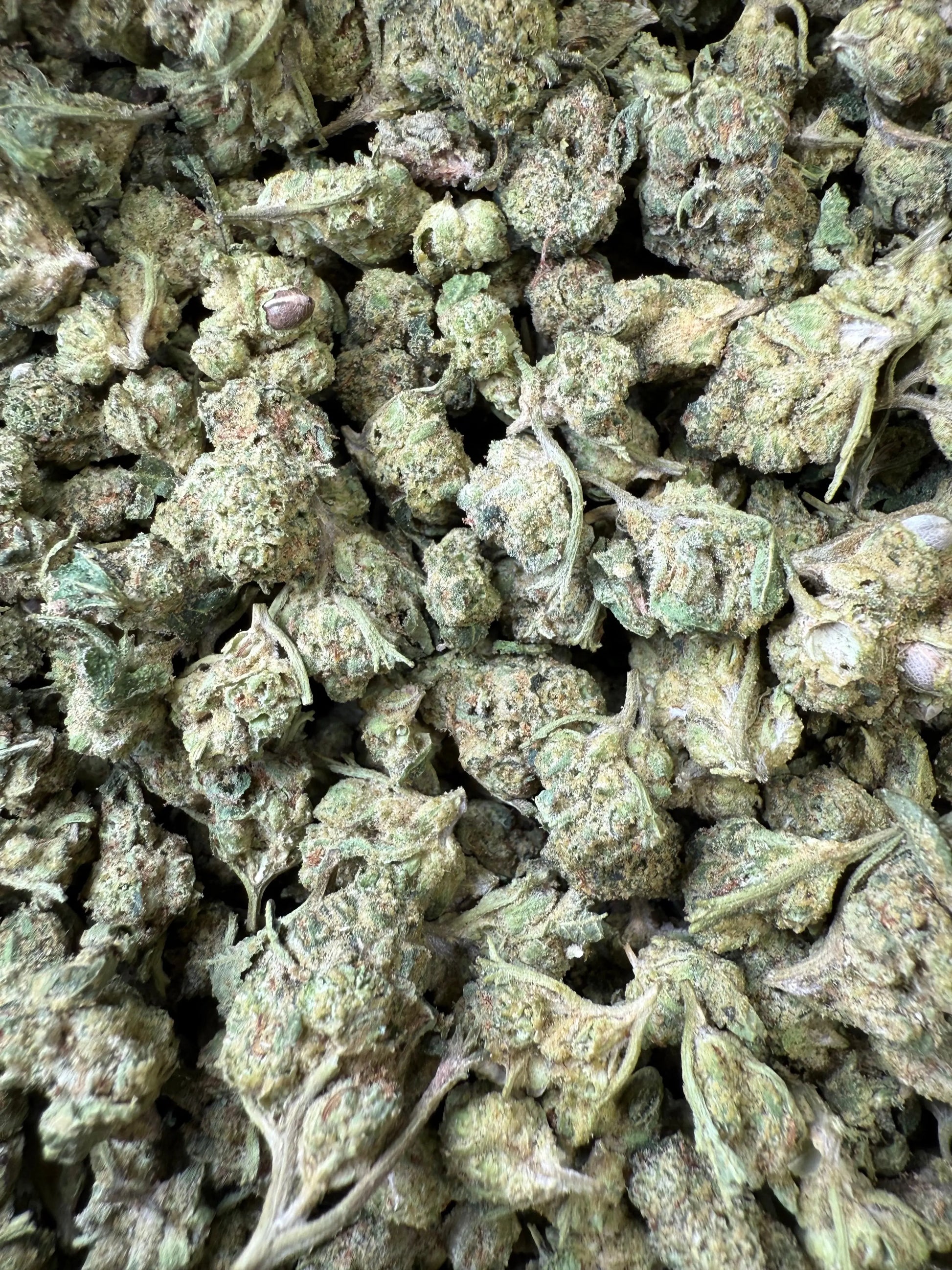 1 Pound - Venom OG THCA Strain (Smalls) Frisco Labs