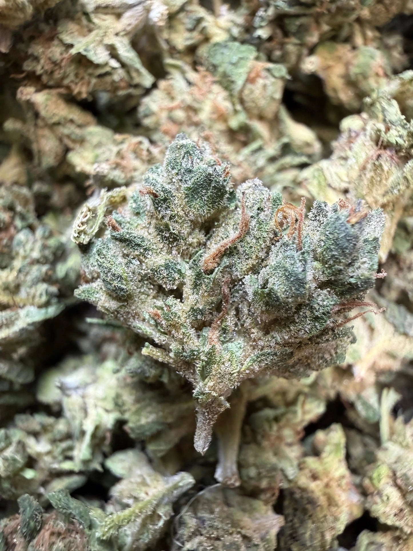 1 Pound - Wedding Cake THCA Flower (Smalls)