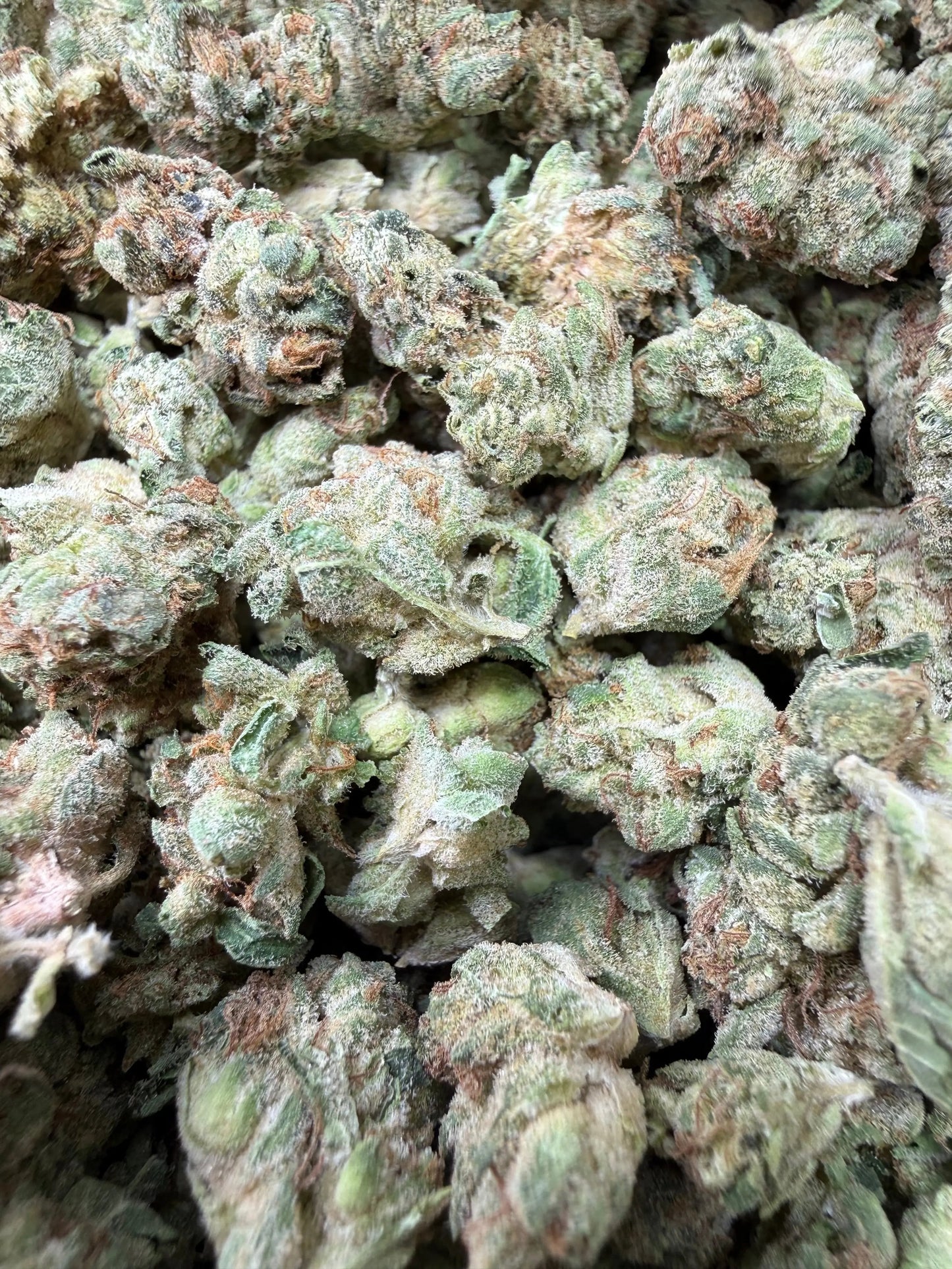 1 Pound -  Wedding Cake THCA Strain Frisco Labs