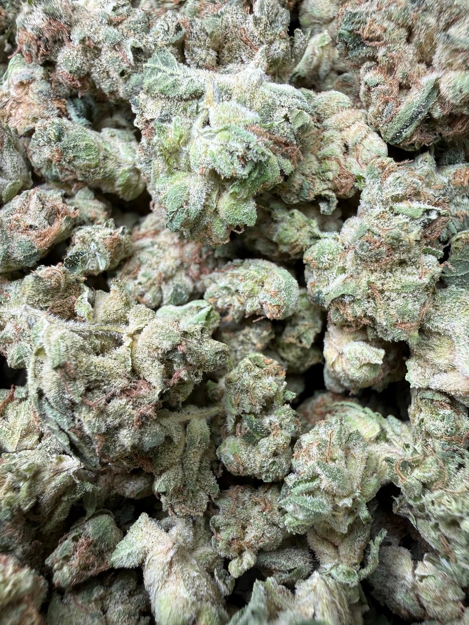 1 Pound -  Wedding Cake THCA Strain Frisco Labs