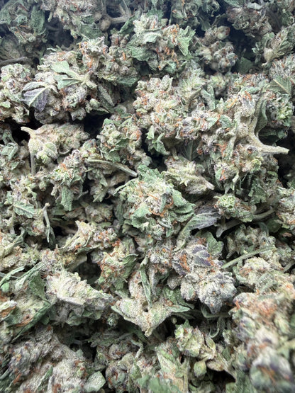 1 Pound - White Widow THCA Strain (Small) Frisco Labs