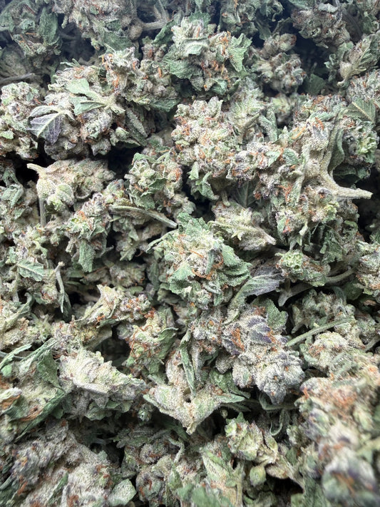 1 Pound - White Widow THCA Strain (Small) Frisco Labs