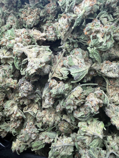 1 Pound - White Widow THCA Strain (Small) Frisco Labs